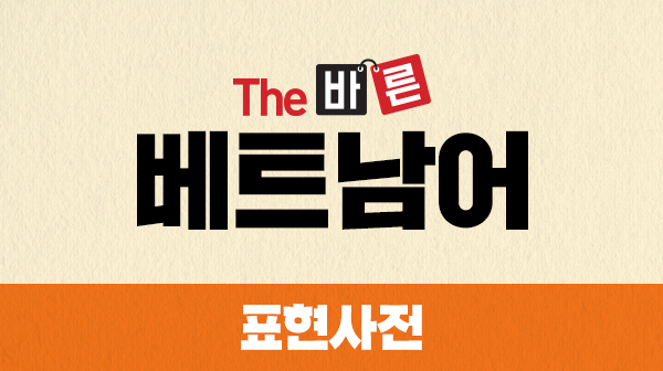 The 바른 베트남어 표현사전